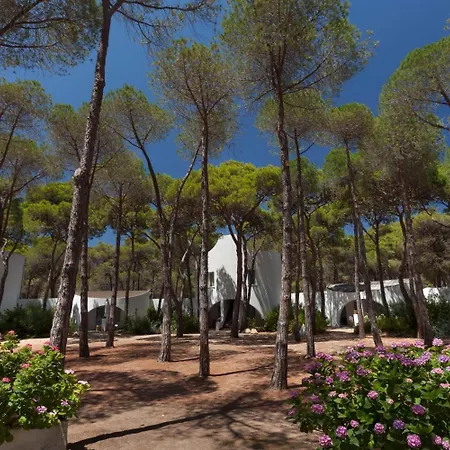 Hotel Mare Pineta 3*