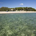 מלון Mare Pineta 3*