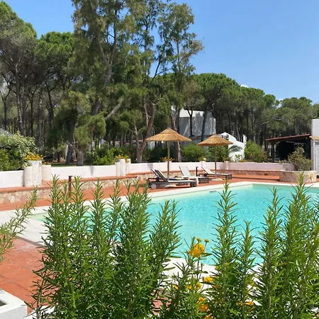 Otel Mare Pineta